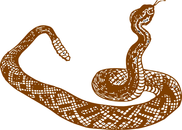 Brown Rattle Snake Clip Art - vector clip art online ...