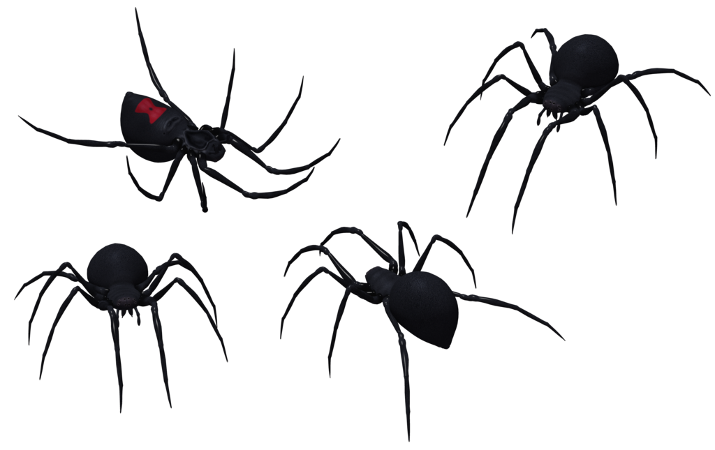 Black Widow Spider Art