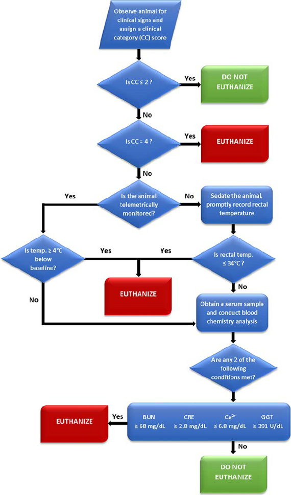 flow diagram decision ~ Www.jebas.us
