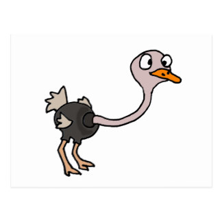 Ostrich Cartoon Postcards | Zazzle