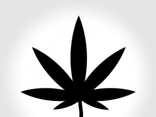 Marijuana leaf icon | free icon packs | UI Download