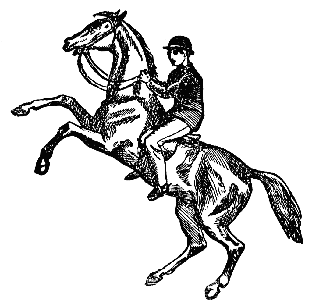 Horseriding | ClipArt ETC