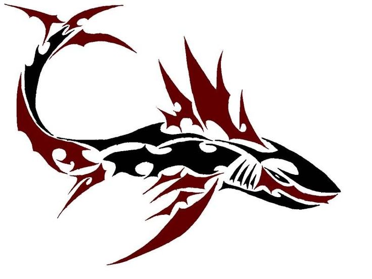 Tribal Shark Tattoos | Tribal Shark ...