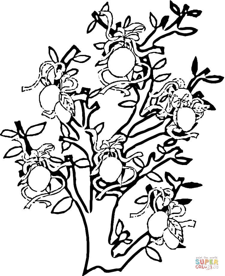 Lemon Tree coloring page | Free Printable Coloring Pages