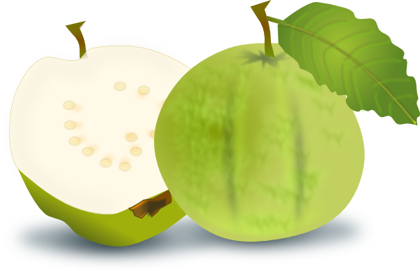 Guava Clipart - Free Clipart Images