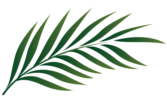 Palm Sunday Vector Graphics Images Clipart Free - ClipArt Best ...