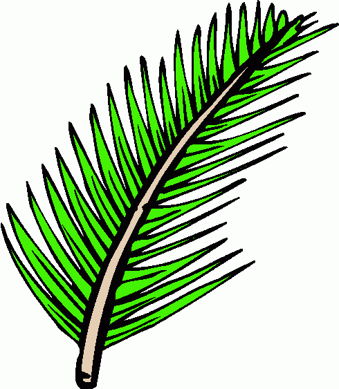 Palm leaves clip art