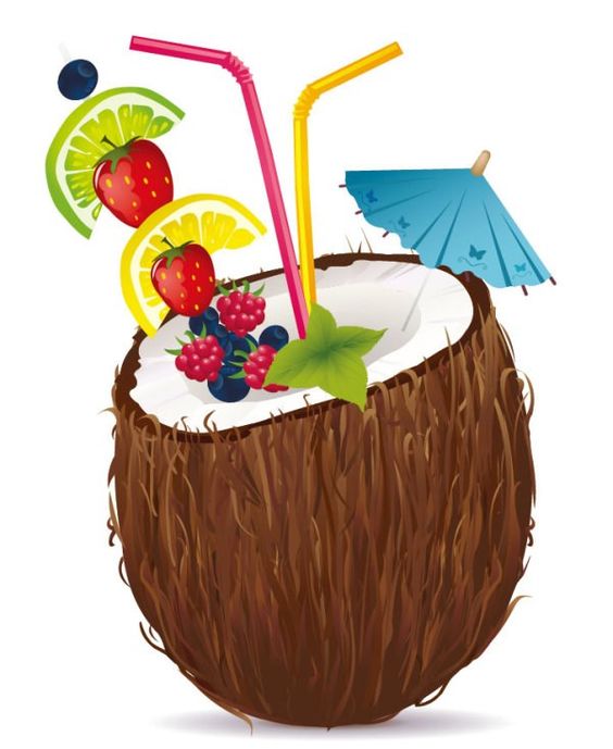 Coconut design elements vector graphic 01 | dekupaj | Pinterest ...