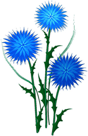 Flower Clipart - Blue and White