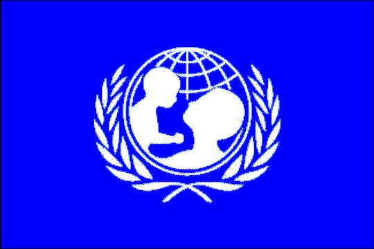 United Nations Organization