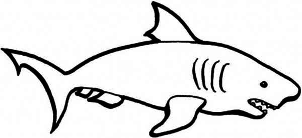 Shark Drawings For Kids - Eldamian.net