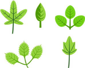 Leaves | High Quality Clip Art - Part 3