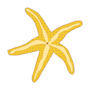 Free starfish clip art - Cliparting.com