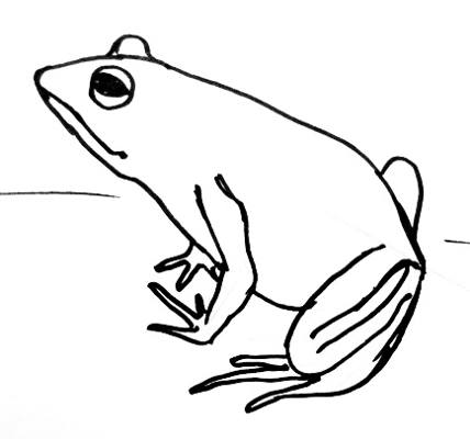 How to draw a Frog