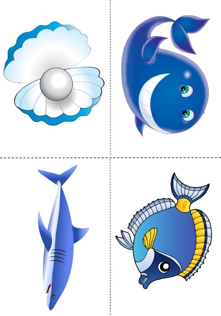 1000+ images about Sea animal | Dolphins, Clip art ...