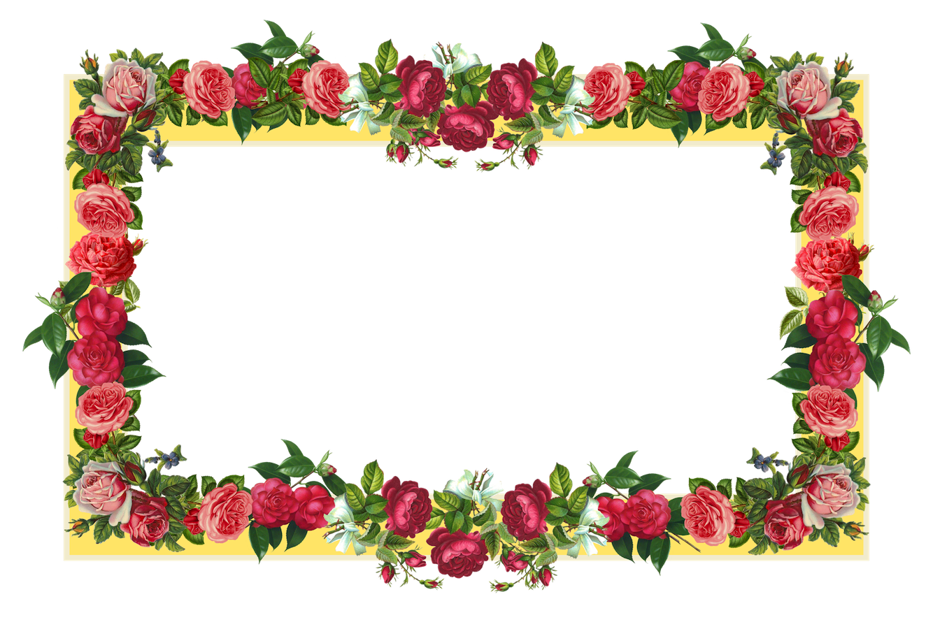 Rose Flower Borders | Free Download Clip Art | Free Clip Art | on ...