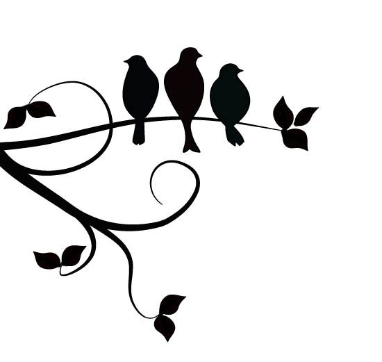 Bobs, Black bird and Bird silhouette