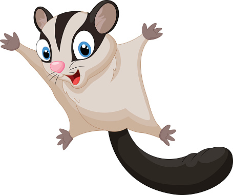 Cartoon Of A Possum Clip Art, Vector Images & Illustrations