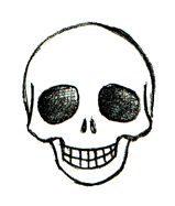 How To Draw Skulls | Skulls, Easy ...