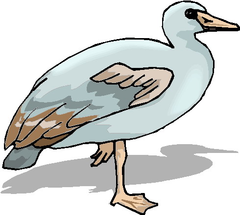 Clip Art - Clip art geese 321904