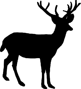 Get Ready for Deer Season! | Bayfield County