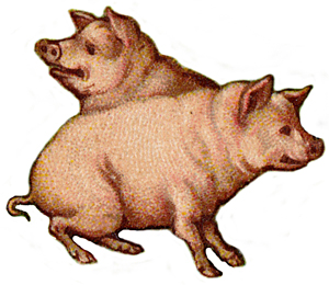 Pig Clipart