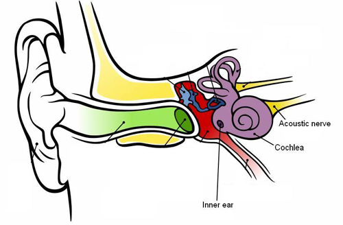 Otic Hearing & Speech Centre