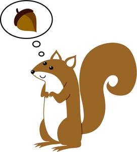Squirrel With Acorn Drawing - ClipArt Best