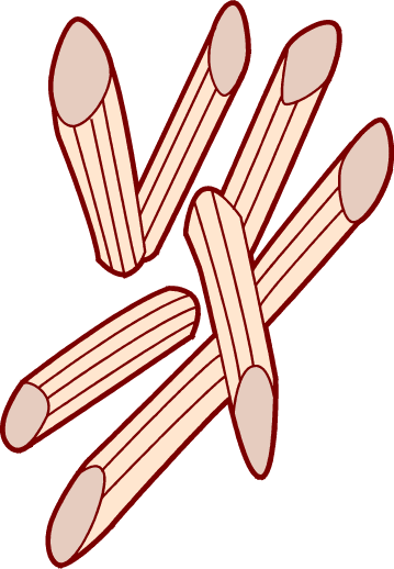 Spaghetti Clip Art Free