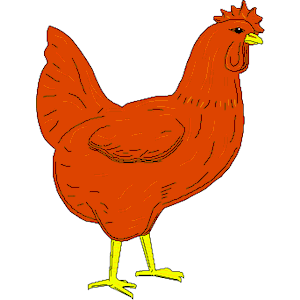 Red Chicken Clipart