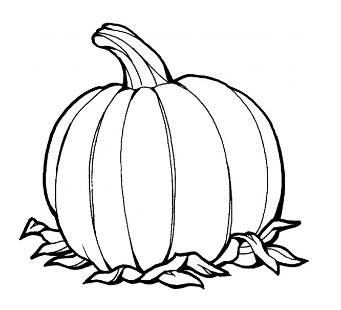 Pumpkin Line Drawing