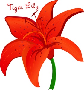 Tiger Lily Clipart