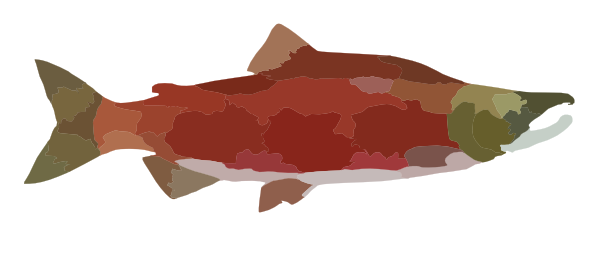 Salmon Clip Art - vector clip art online, royalty ...