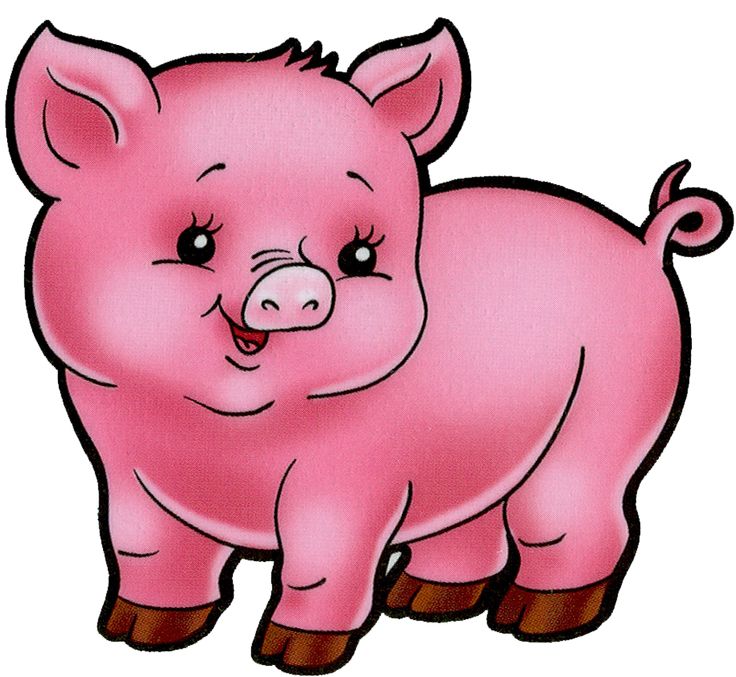 1000+ images about Lovely pig