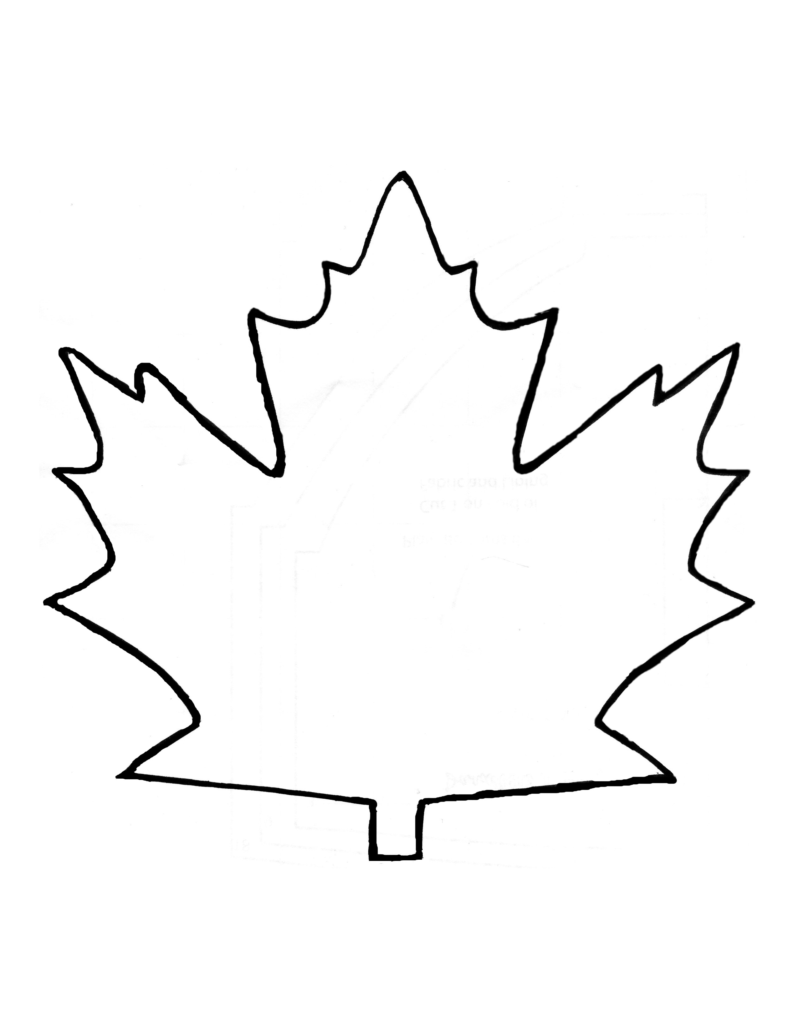 Leaf Trace ClipArt Best