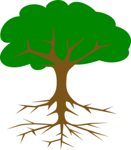 Root | High Quality Clip Art