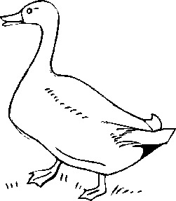 Geese Clipart | Free Download Clip Art | Free Clip Art | on ...