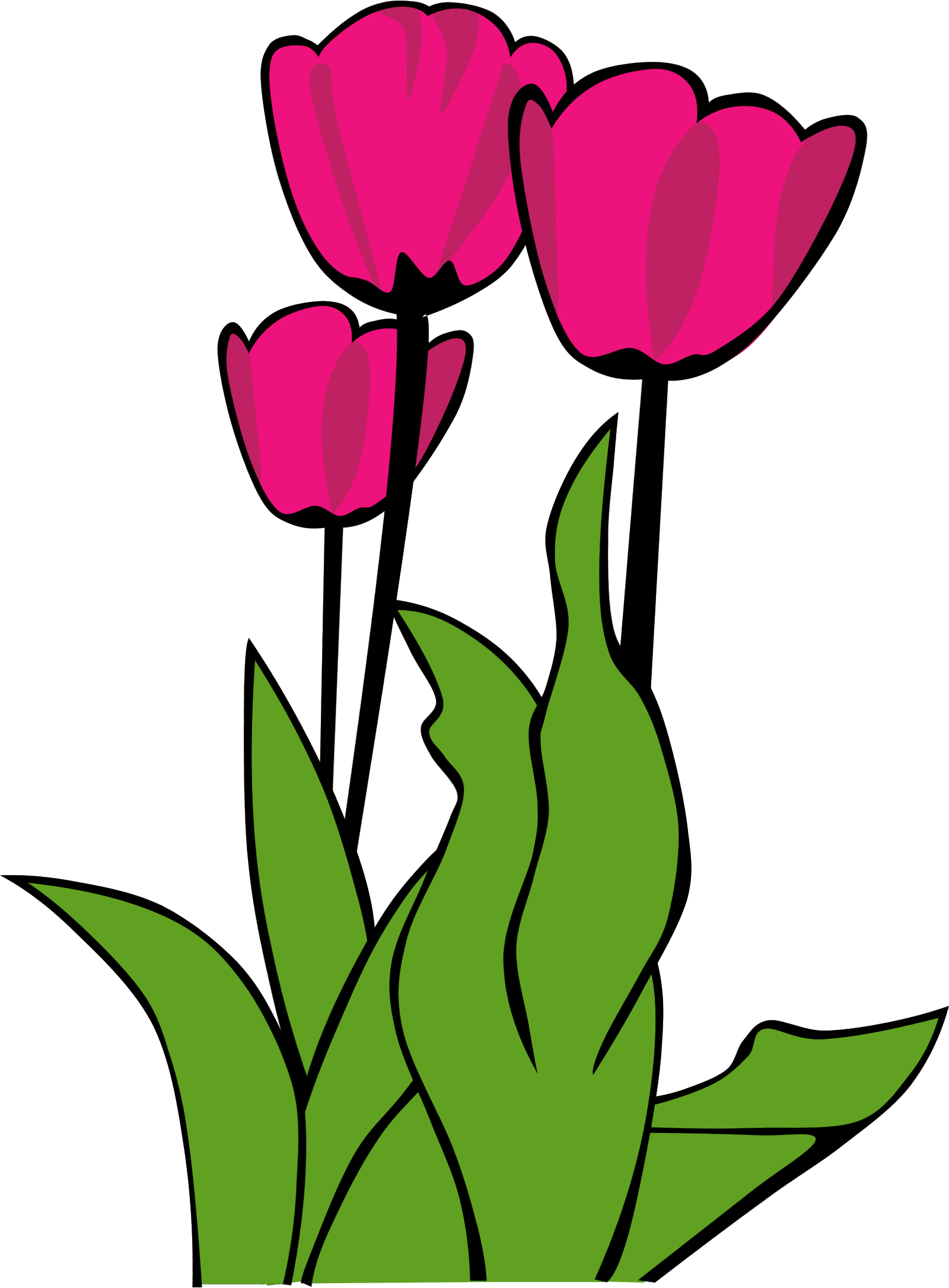 Tulip flower clipart hd - ClipartFox