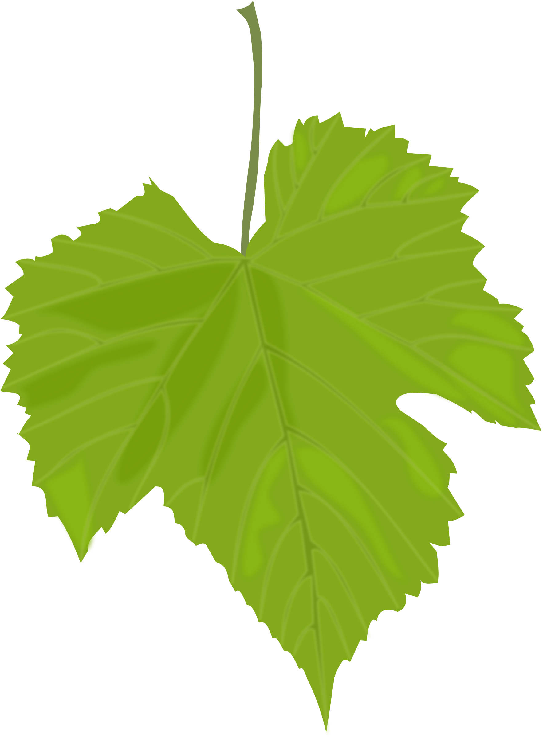 Wine Leaves - ClipArt Best