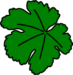 Rainforest leaves clipart