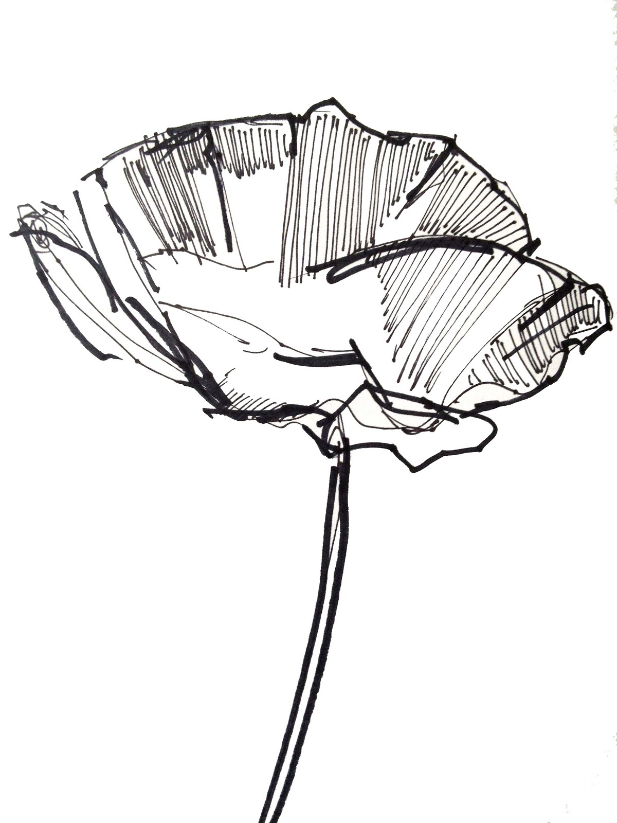 Easy Flower Sketches - ClipArt Best