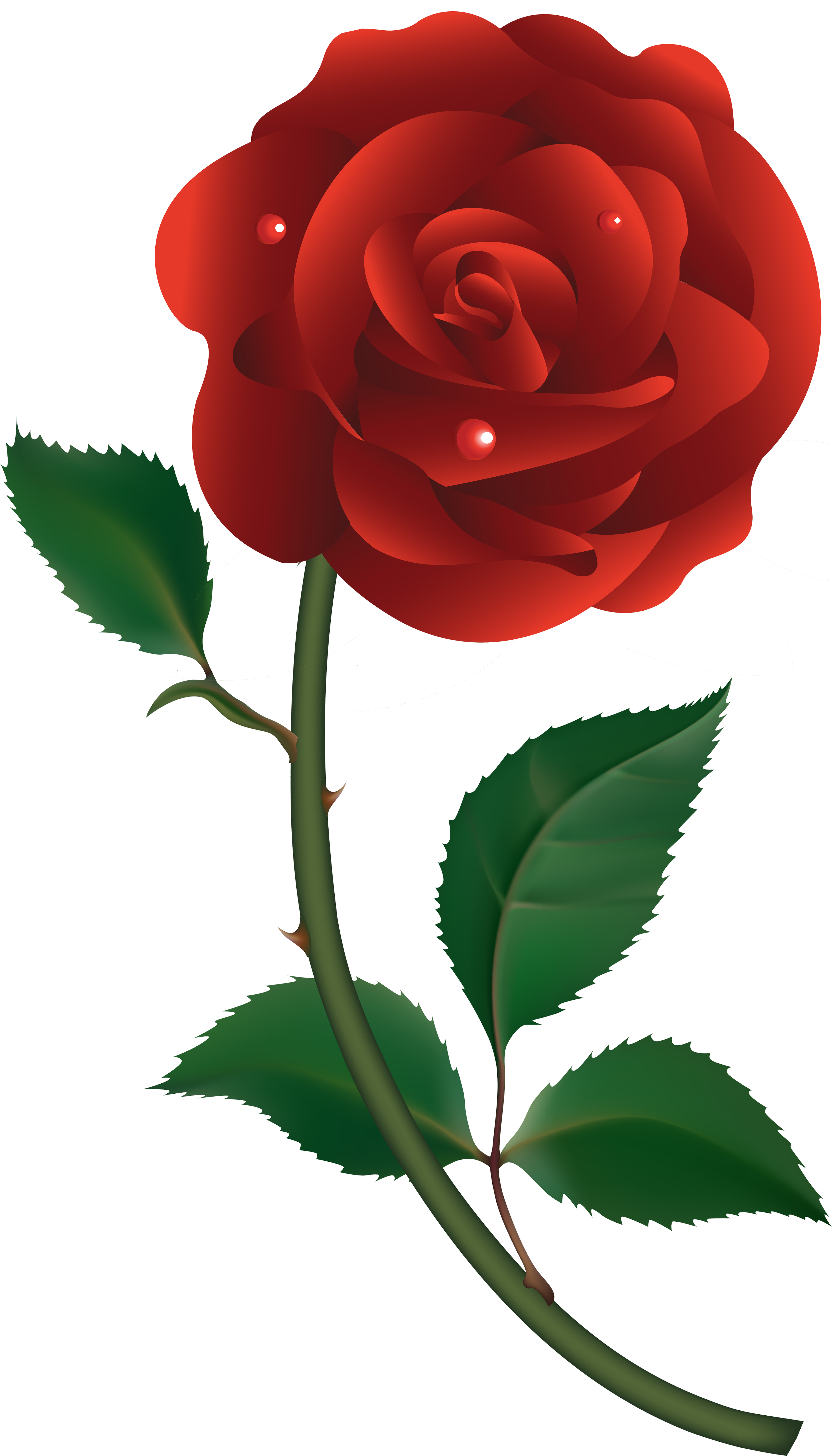 clipart dead rose - photo #39