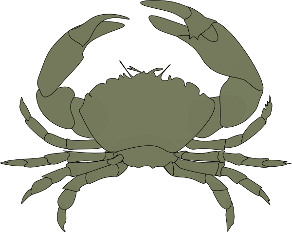 Crab clip art Free Vector