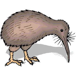 Clipart kiwi bird