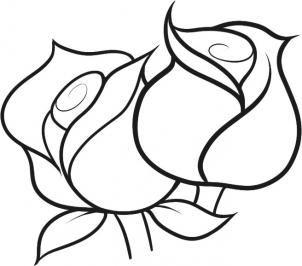 1000+ images about how to draw roses