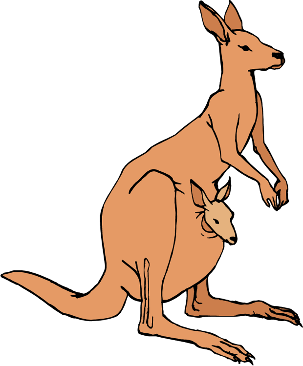 Kangaroo Clipart