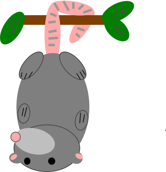 Possum Clip Art