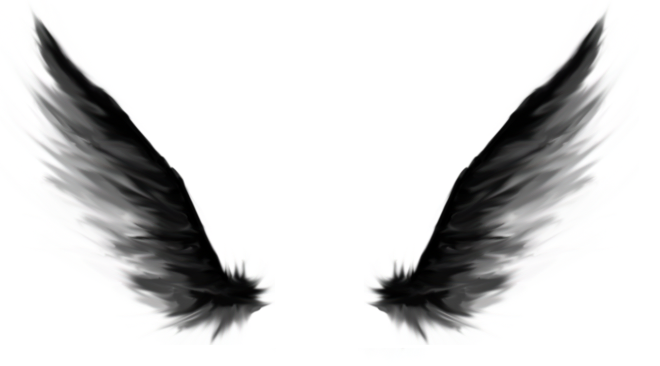 105 Angel Wings | Tiny Clipart