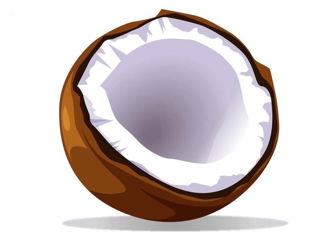 Coconut clip art