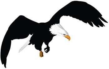 Eagle Free Vector / 4Vector